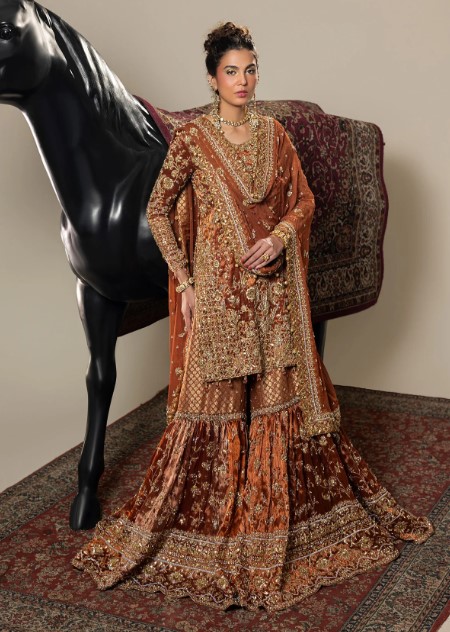 Burnt Orange Pakistani Bridal Lehenga | Heavy Embroidered Wedding Wear | Luxury Ethnic Lehenga Set for Bride – DN-3004