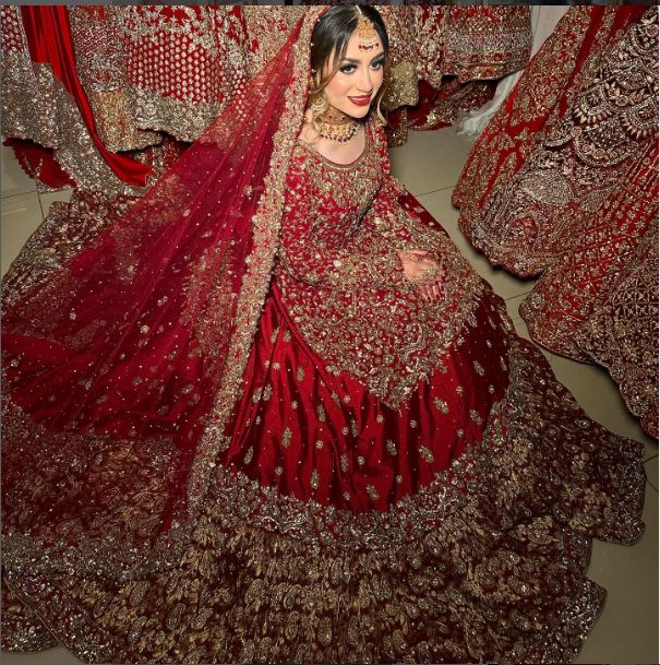 Pakistani Long Wedding Suit Reception Walima Trail Veil Dress - DN-1070
