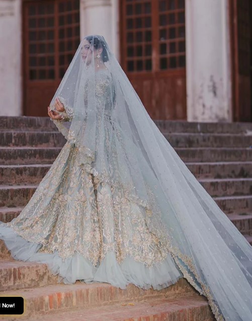 Traditional bridal fashion powder blue with silver and gold Maxi - DN-1048