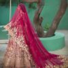 Wedding Rani Pink Bridal Gown with Golden Embroidery- DN-1988