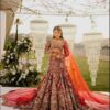 Red Bridal Pakistani Indian Fish Cut Long Party wear Wedding Handwork maxi Gown - DN-1064