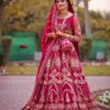 Rani Pink Long Wedding Gown with Golden Embroidery-DN-1982