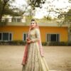 Pakistani Walima Long Trail Gown With Golden Embroidery - DN-1645