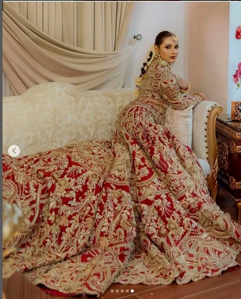 Stunning Red Zardosi Work Mermaid Lehenga Choli - DN-1051