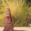Pakistani Red Wedding Gown with Golden Embroidered Trail - DN-1588