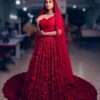 Classy Designer Indian Bridal lehenga choli with Embroidery and Sequence Work Bespoke - DN-1158