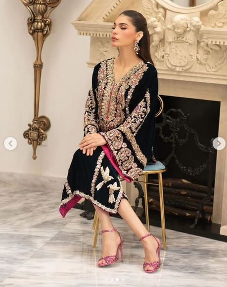 Pakistani valvet Party wear suit - DN-1098