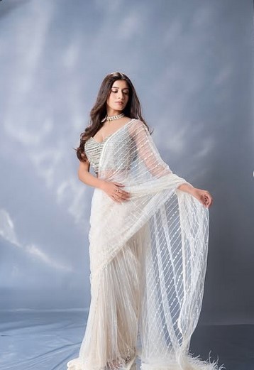 Elegant Ivory Net Saree with Handwork Blouse & Sheer Transparent Drape DN - 3010