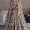 Stunning Wedding Designer Long Anarkali Pakistani Bollywood Indian Pakistani Maxi - DN-1103